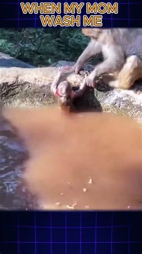 TOP 3 RANDOM BUT FUNNY VIDEOS #funny