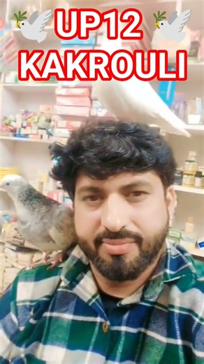 UP12 🕊️🕊️❤️🕊️🕊️❤️❤️🕊️🕊️