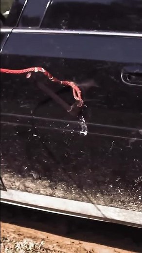 The Whaling Harpoon Cannon (The BLUBBER BUSTER) vs Car