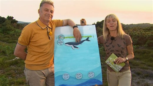 Springwatch viewers express horror over 'shoddy prop' to explain graphic act