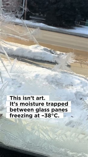 Those icy patterns aren’t on the outside of the window. They form when the seal between double-pane glass fails, moisture gets trapped inside, and extreme cold turns it into frost art. At temperatures like –30°C to –38°C, physics doesn’t mess around. Nature didn’t decorate this window — failure cold did. #ExtremeCold #WinterPhysics #FrozenWindow #MoistureInGlass #DoublePane
