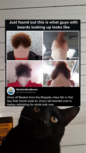 Gives Off Beaker From The Muppets Vibes Tbh Or That Spy Kids Thumb Dude Lol Every Tall Bearded Man