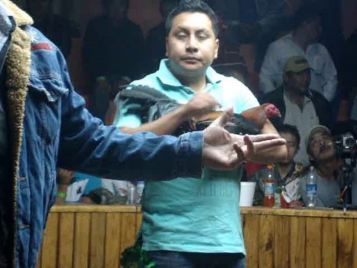 Derby México vs USA 2011 - 2da Pelea Gallo Leiper limpio alimonado