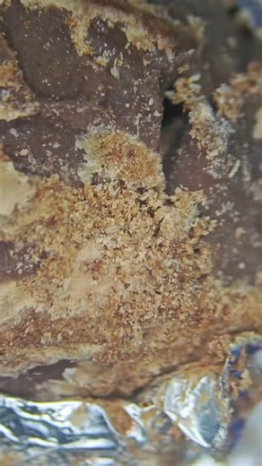 Mir Glazami Microscopa on Reels