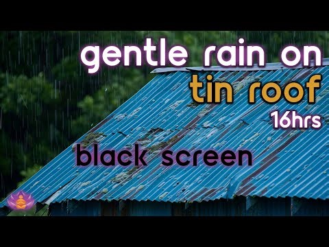 [Black Screen] Gentle Rain on Tin Roof No Thunder | Rain Ambience | Rain Sounds for Sleeping