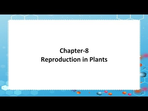Revised Science Outlook Book - 7 : Ch 8 Reproduction in Plant