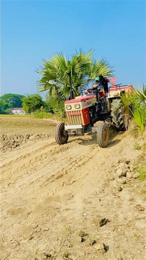 Ep-7 Swaraj Tractor Working #tractor #tractorvideo #shortvideo