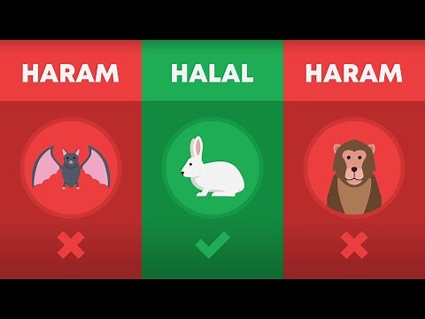 Halal and Haram Animals in Islam