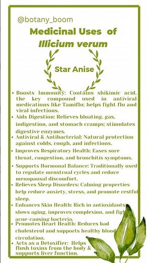 🌿What Happens When You Drink Star Anise Tea Every Day? BENEFITS OF STARANISE| #herbalmedicine #fyp