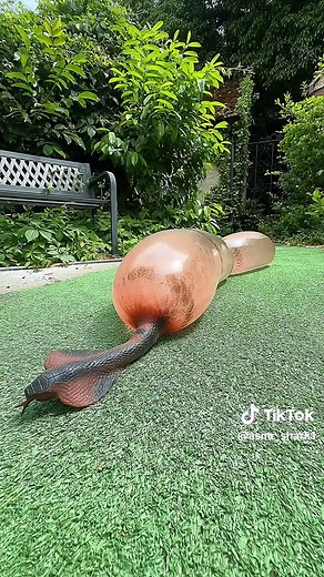 Exploring ASMR Sounds with Scooby-Doo and Sonic