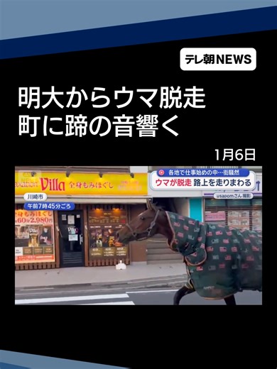 ウマが脱走！路上を走りまわる様子