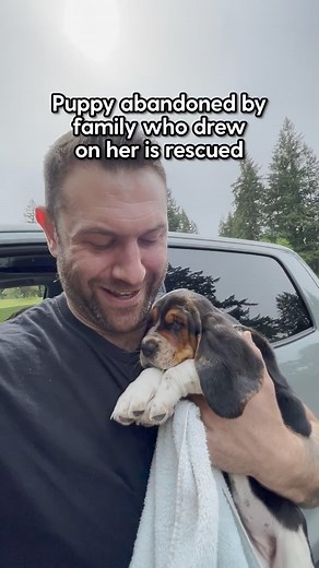 2.3M views · 81K reactions | This tiny basset hound puppy had been colored on with markers  Lee told us what it was like to give this baby her first bath after being rescued. And introduce her to his pack! Special thanks to The Asher House! Follow along on Instagram: thedo.do/-theasherhouse & TikTok: thedo.do/-TheAsherHouse. | The Dodo | Facebook