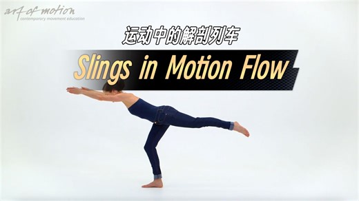 运动中的解剖列车 | Slings激活：Slings in Motion Flow（运动中的筋膜链动作流）