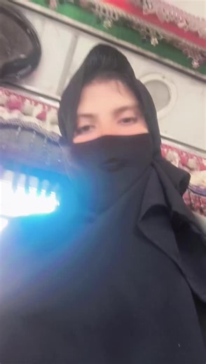 Explore the Best Bus Travel Experiences