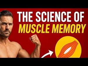 The Science of Muscle Memory Explained