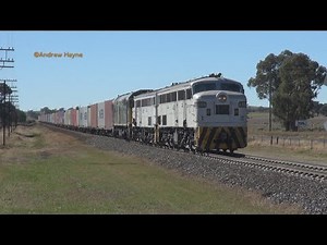 Alco Action (!) - - -Alco fans. turn the volume UP