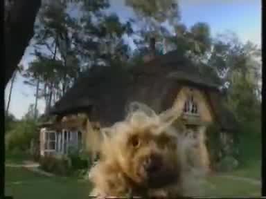 Tots TV (TV Series 1993–1999)
