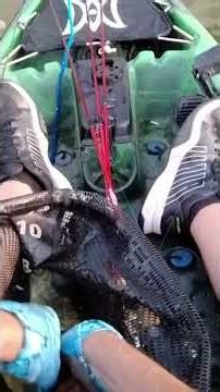 I don't catch many shell crackers(aka red ear) #Bleequp Ranger was there