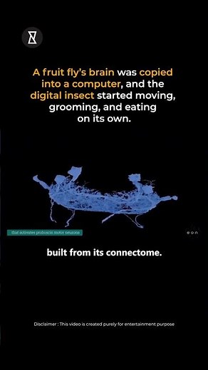 How EON Systems Built a Fully Simulated Digital Fly #trendingshorts #science #viral #physics