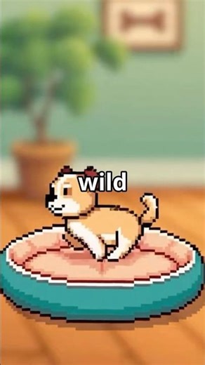 Why Do Dogs Dig at Their Beds? 🐕#PuppyLife #DogBehavior #PetFacts