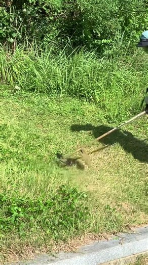 산소에서 예초기 작업.#풀 #잔디 #벌초 #예초기 #줄날 #칼날 #ZENOAH #BK4302 #automobile #farming #줄다리기 #lawncare #satisfying