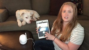 Watch Dog Camera, Netvue 1080P FHD 2.4GHz WiFi Pet Camera on Amazon Live