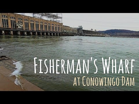 Exploring the Conowingo Dam and Seeing Bald Eagles!