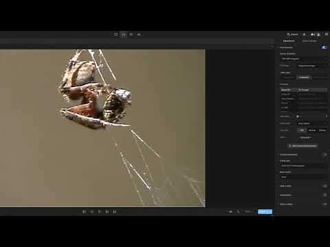 Video AI Tutorials: The Enhancements #1 Output Resolution & Video Types (v6)