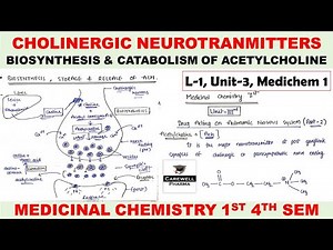 Cholinergic Neurotransmitter || Biosynthesis and Catabolism of Acetylcholine | L-1 U-3 | Medichem 1