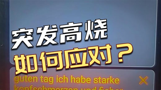 【FlyPlus推荐】准儿翻译机FlyPlus同声传译智能翻译器4G版｜多语言离线拍照翻译＋实时录音翻译｜出国旅游外语学习神器
