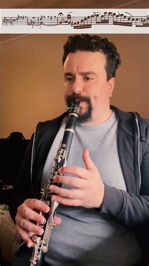 Light Cavalry Overture | Famous Clarinet Solo 🎶