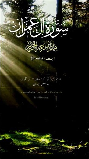 Sorah al imran ayer 118and 119#short #shortvideo #shorts