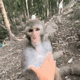 This directly puts Aangs cultural survival not just on his back but on Kataras back as she physically has to carry these pregnancies. It's such a weird way to tell this story knowing the controversy surrounding Aang being a bad father and prioritizing his one airbending child