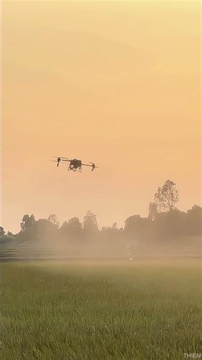 T50 Có Xịt Vườn Ngon Không ?| Agri Drone Experience