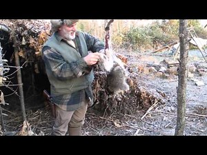 Skinning a Raccoon with Rope,Modern Trapping Part 32