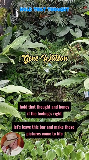 171K views · 6.6K reactions | Hold That Thought - Gene Watson - Country Classics - TJYCM will take you back to Yesterday's REAL COUNTRY MUSIC #oldschool #countryclassics | The Jukebox, You, & Country Music | Facebook