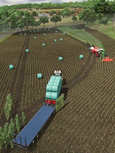 Silageballen Sammeln im Landwirtschaftssimulator