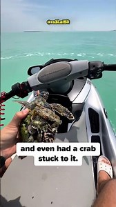 He Rescued a Struggling Turtle ❤️