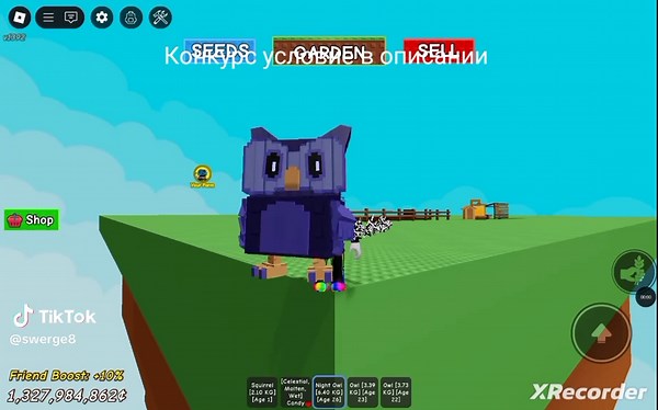 Как поднять популярность в TikTok