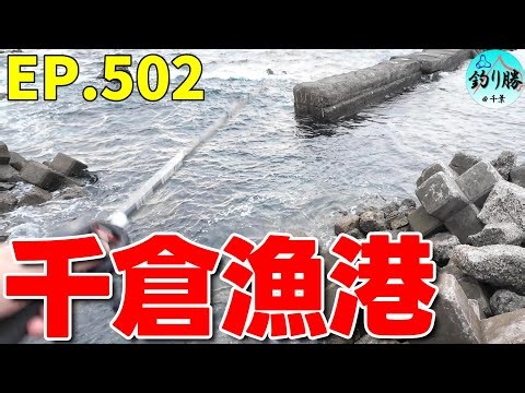 EP.502 南房総穴釣り 大型根魚が釣れる千葉の漁港
