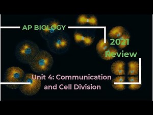 AP Biology Unit 4 Review 2020