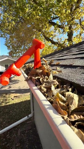 Pest Pros & Homeowners Love This Gutter Tool