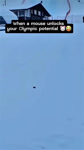 Bro turned into an Olympic skier because of a mouse 🐭💨⛷️ #FYP #FunnyVideo #WinterVibes #POV #skilife