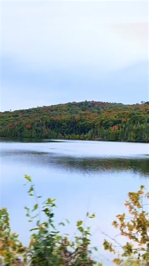 Experience the Vibrant Colors of Fall on a Scenic Train Ride