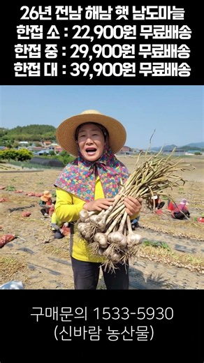 [신바람 농산물 협력농가 판매상품 - 26년 전남 해남 햇 남도마늘 반접/ 한접 단위로 판매합니다 굴삭기 화물트럭 매매 직거래 장터 사이트 (관리기.com)