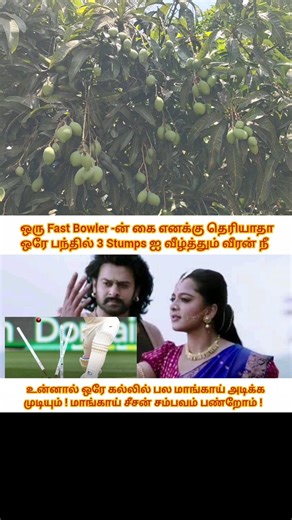 Women never go to 🥭 but ManGo 😂 #shorts #mango #mangotree #stone #throw #picking #funny #memes
