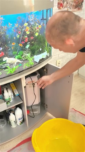 How to Maintain a 250L Aquarium Properly