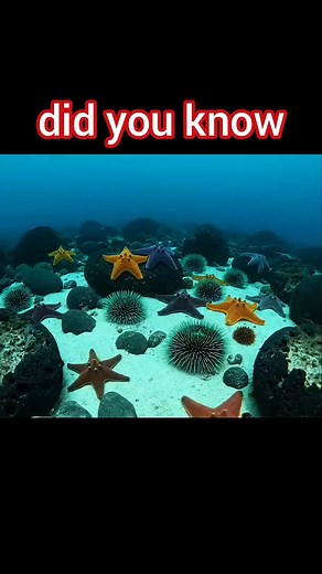 The Icicle of Death #icicles #icicle | History is Back