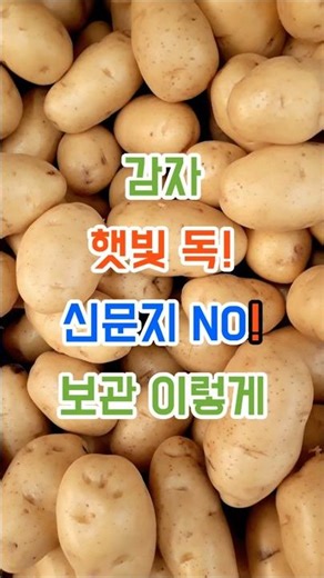 감자, 햇빛에 두면 ‘독’이 생깁니다 #시니어공감 #지식 #시니어라이프