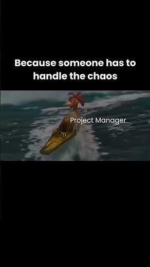 Project Manager Be Like: Calm While Everything Is Falling Apart